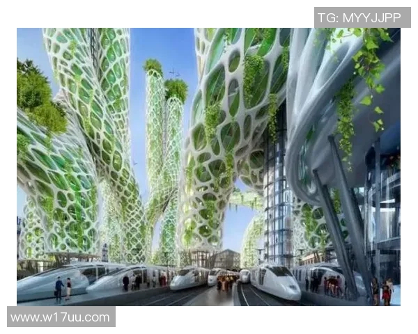 平福与清化的对比分析及其对未来发展的影响探讨